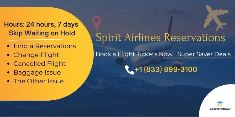Book Your Spirit Airlines Reservations With Goskylinetravel