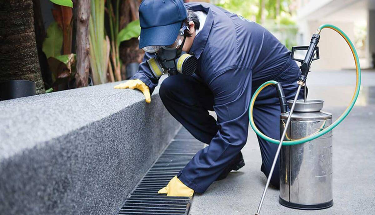 Know Everything About End Of Lease Of Pest Control Services