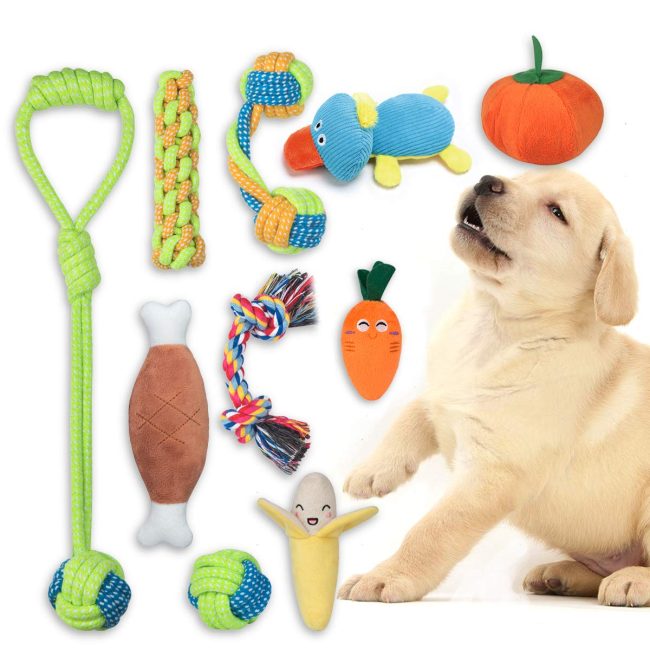 pet toys