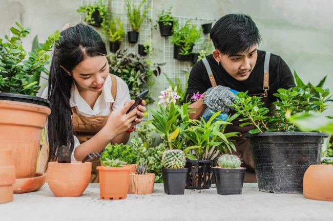 10 Gardening Tips For Beginners In Norway