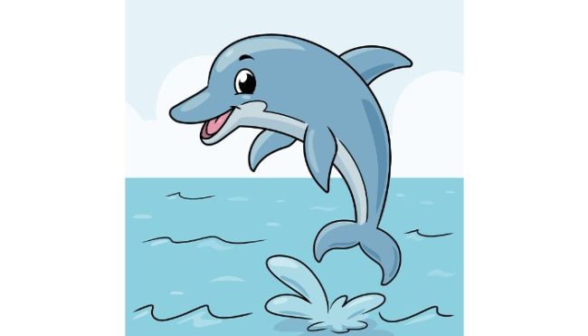 How to draw a dolphin