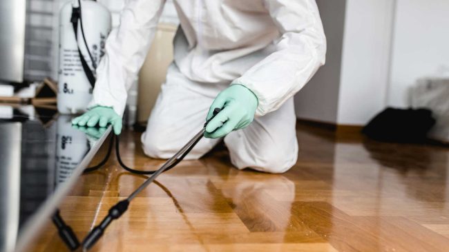 Common Termite Treatments