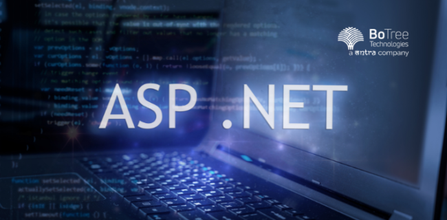 ASP.Net Development Service