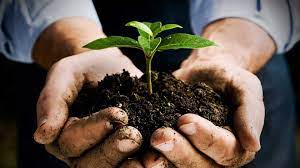 Rich Soil