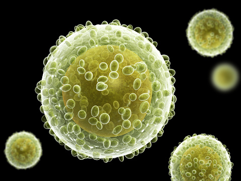 3D Cell Culture Market