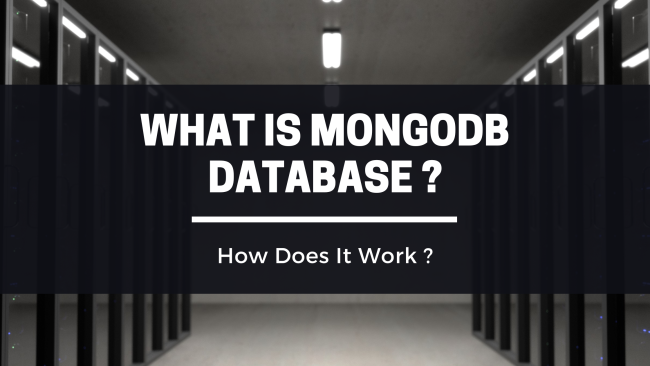 What Is the MongoDB Database And How Does It Work ?