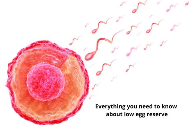 Everything you need to know about low egg reserve