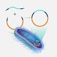 Recombinant DNA Technology Market