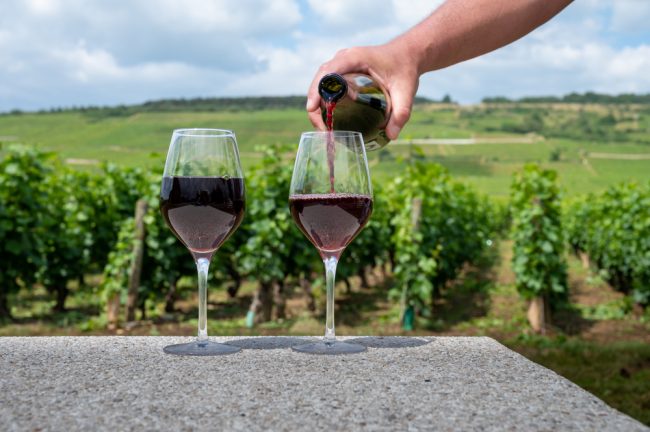 Dumol Pinot Noir