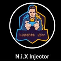 Nix Injector