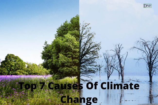 Here are the top 7 causes of climate change; 1. Greenhouse Gases 3. Higher Atmospheric Carbon Dioxide and Black Carbon