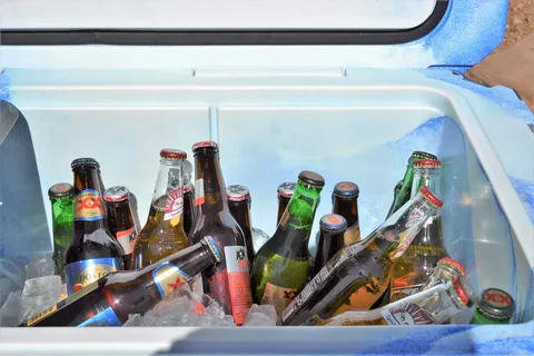Cooling Elegance: Top Picks for Outdoor Beverage Refrigerators in 2024